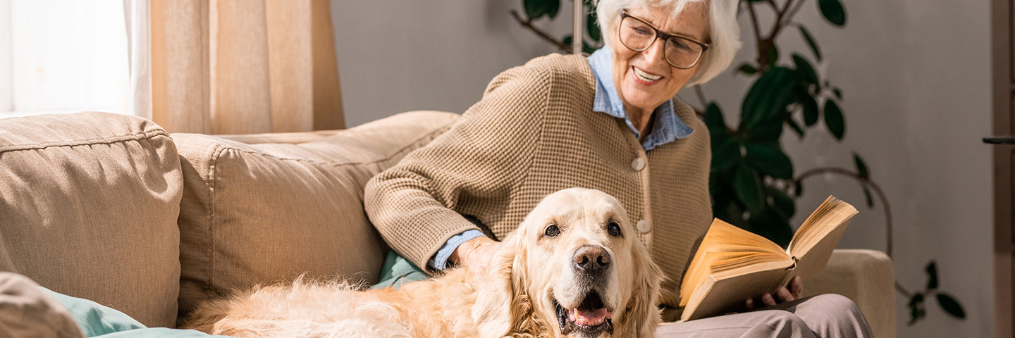 Wohnen im Alter - Seniorin mit Golden Retriever